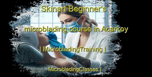 Skinart Beginner's microblading course in Acarkoy | MicrobladingTraining | MicrobladingClasses | SkinartTraining-Turkey